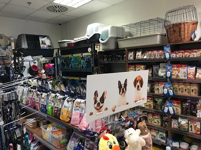 Sklep Zoologiczny Azoorki